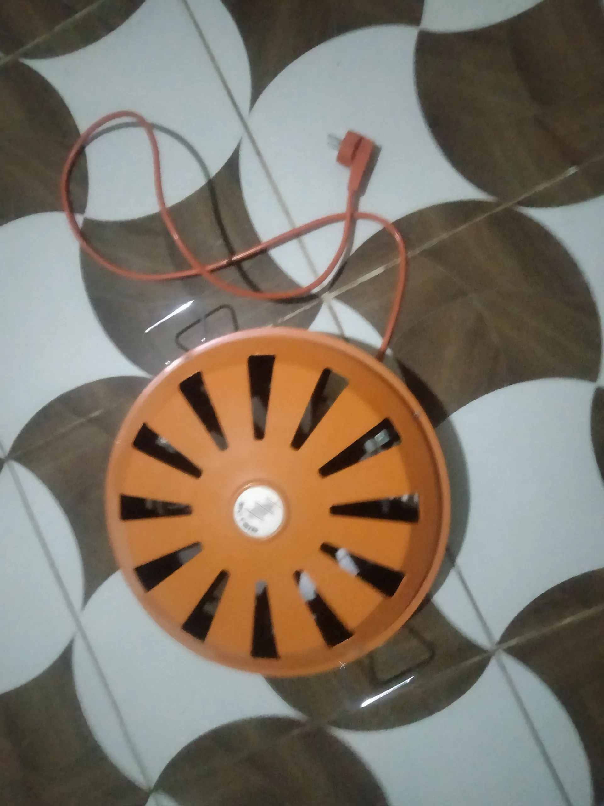 بوقيرات مستغانم