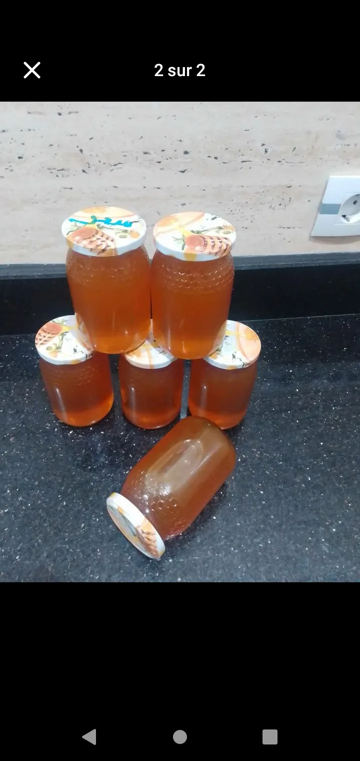 بيع عسل حر منطقة الصحراء