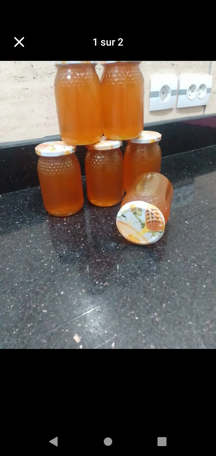 بيع عسل حر منطقة الصحراء