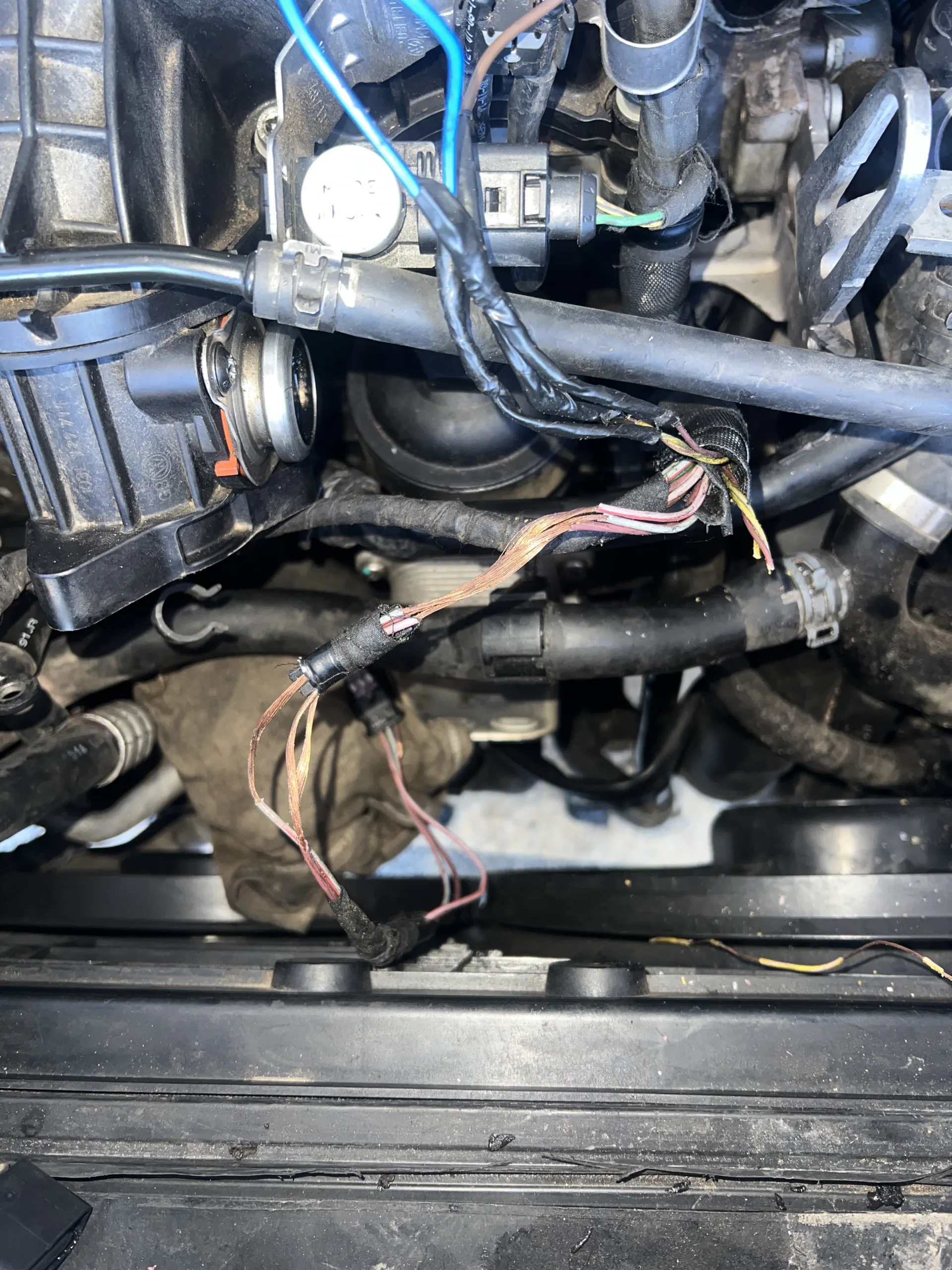 Scanner Auto Relizane